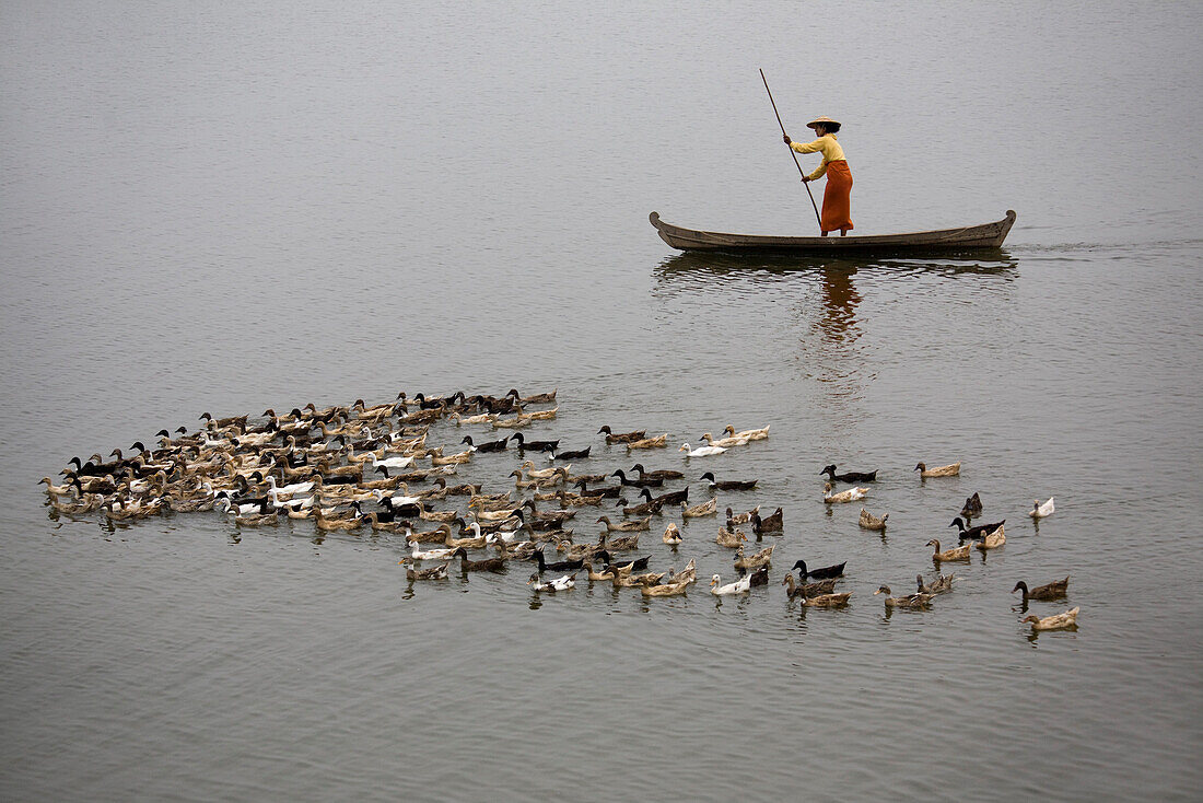 Women in a canoe with simming ducks on the Taungthaman Lake in Amarapura near Mandalay, Myanmar, Burma
