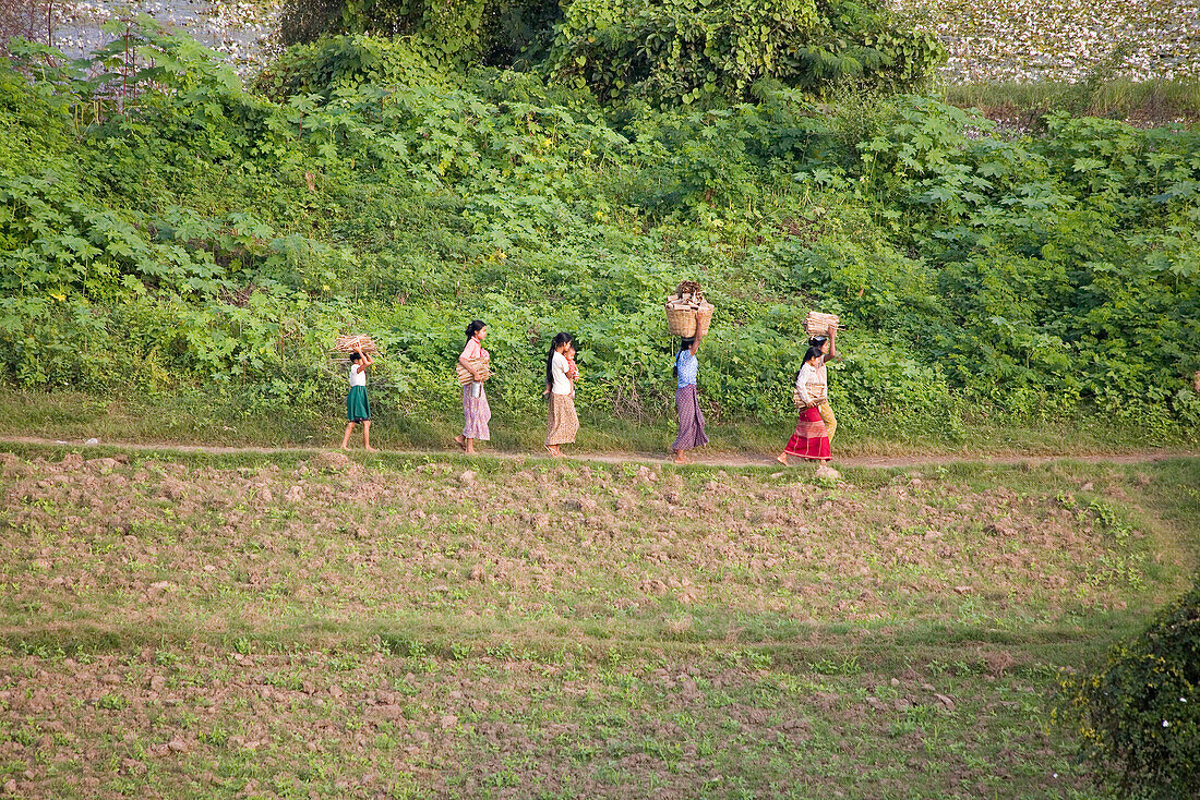 Burmesische Frauen tragen Holz auf der Insel Inwa ( Ava ) am Ayeyarwady bei Amarapura, Myanmar, Burma