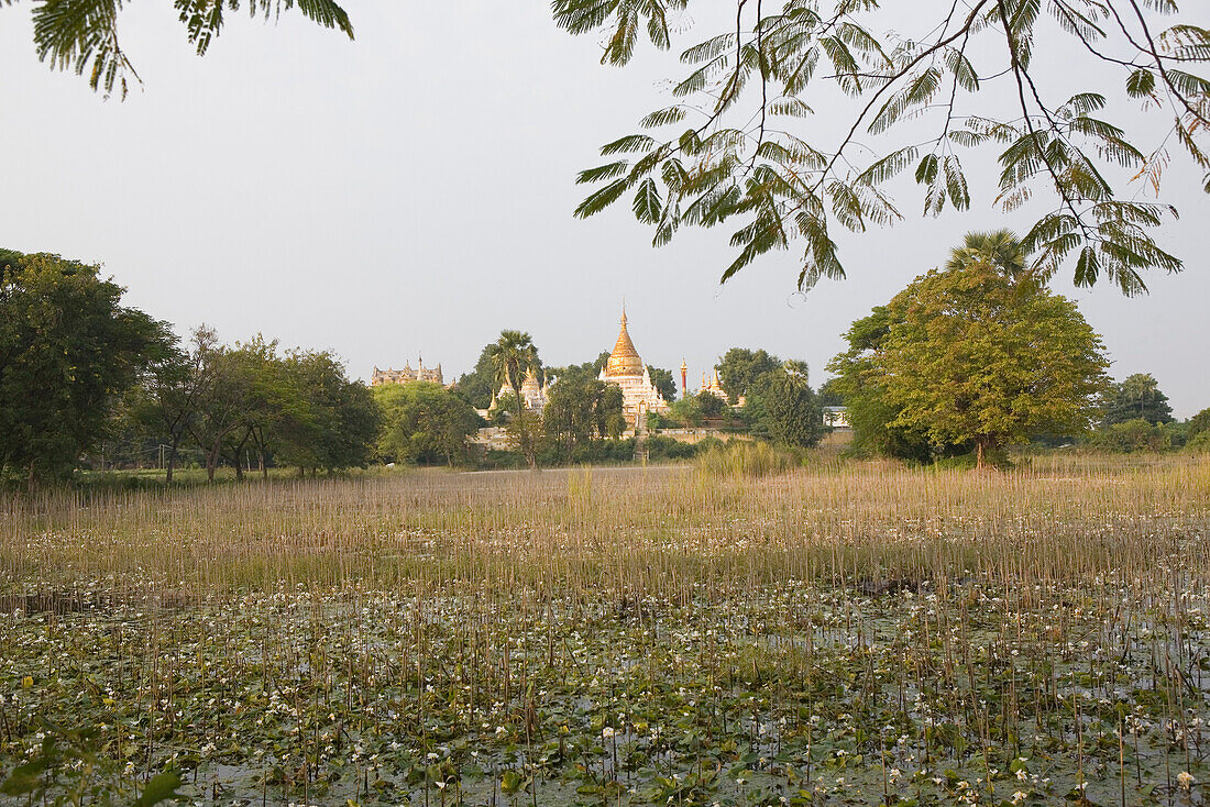 Pagode auf der Insel Inwa ( Ava ) am Ayeyarwady bei Amarapura, Myanmar, Burma