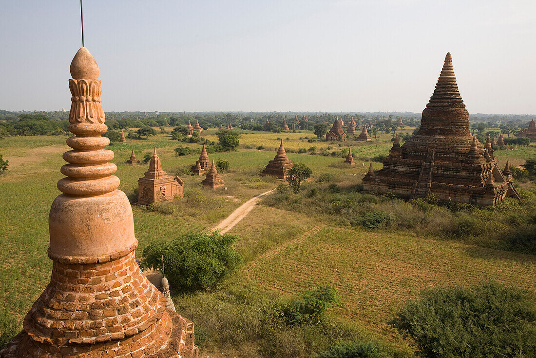 Blick über das Pagodenfeld von Bagan, Myanmar, Burma