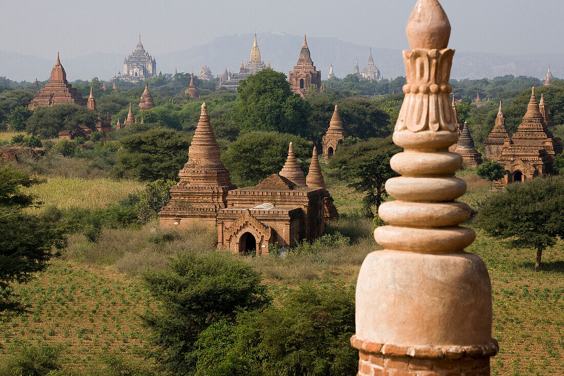 Blick über das Pagodenfeld von Bagan, Myanmar, Burma
