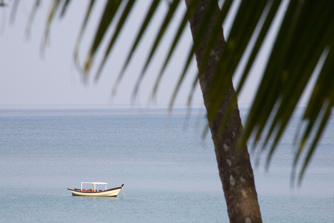 Fischerboot und Palmwedel in Ngapali Beach, am Golf von Bengalen, Rakhine-Staat, Myanmar, Burma