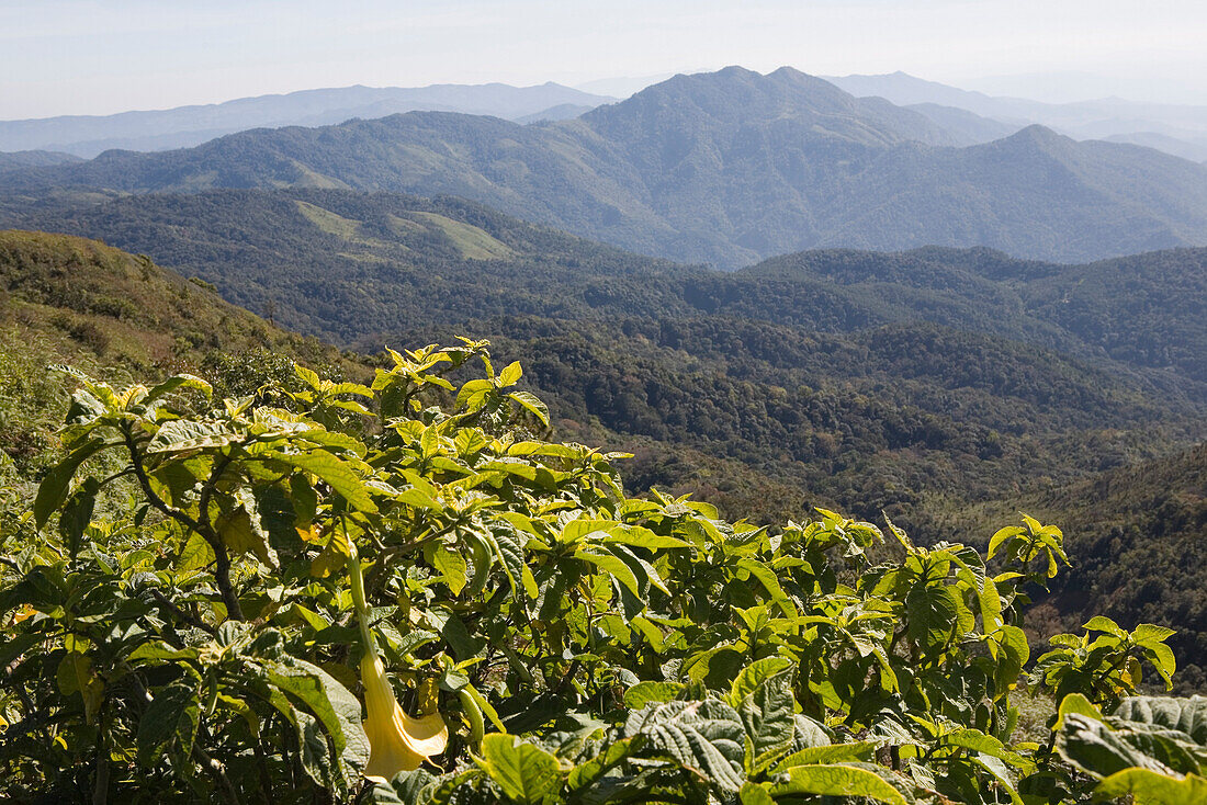 Blick vom Doi Inthanon auf die Berge des Doi Inthanon National Park, Provinz Chiang Mai, Thailand