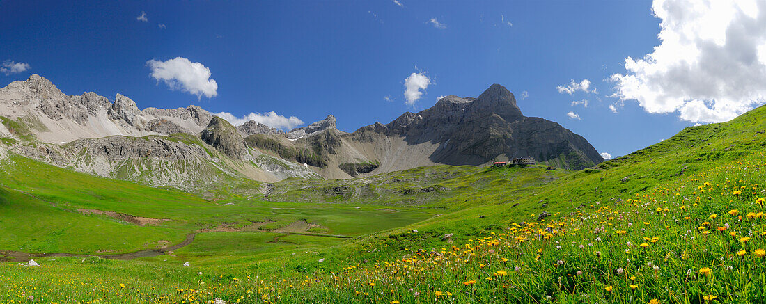 Panorama in den Lechtaler Alpen, Blumenwiese mit Memminger Hütte, Kleinbergspitze, Seeköpfle und Vorderer Seekopf, Lechtaler Alpen, Tirol, Österreich