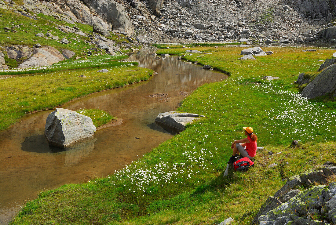 young woman sitting in meadow with cotton grass and stream, Stubaier Alpen range, Stubai, Tyrol, Austria