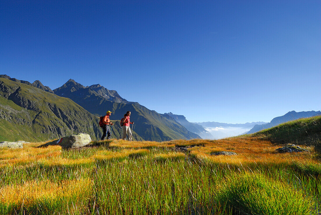 Paar beim Wandern auf herbstlich verfärbter Moorwiese mit Habicht im Hintergrund, Nebelmeer im Gschnitztal, Stubaier Alpen, Stubai, Tirol, Österreich