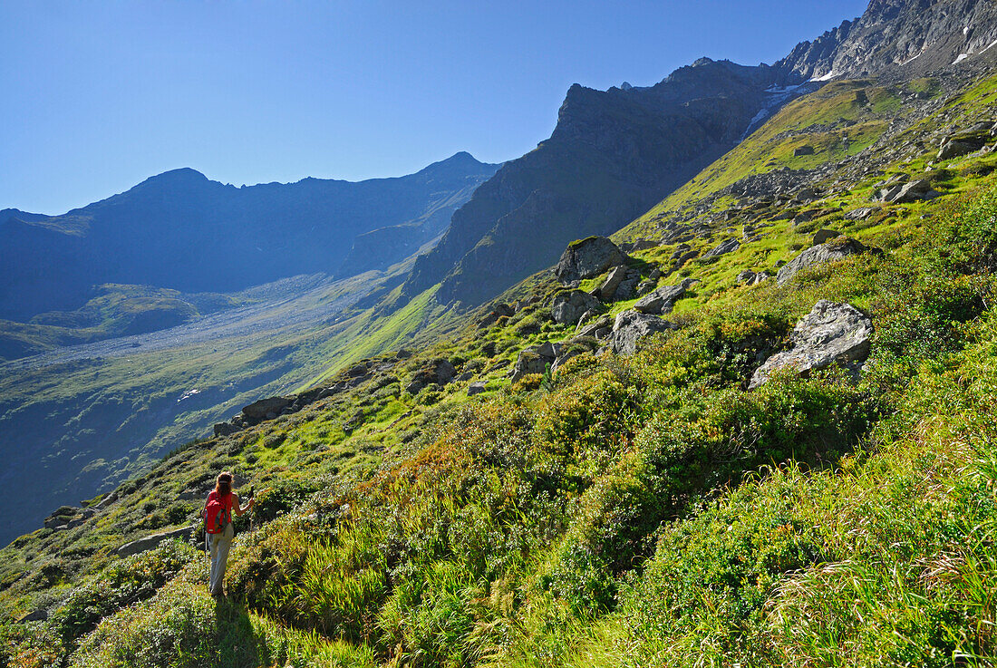 junge Frau beim Wandern durch üppig grüne bewachsenes Kar, Stubaier Alpen, Stubai, Tirol, Österreich