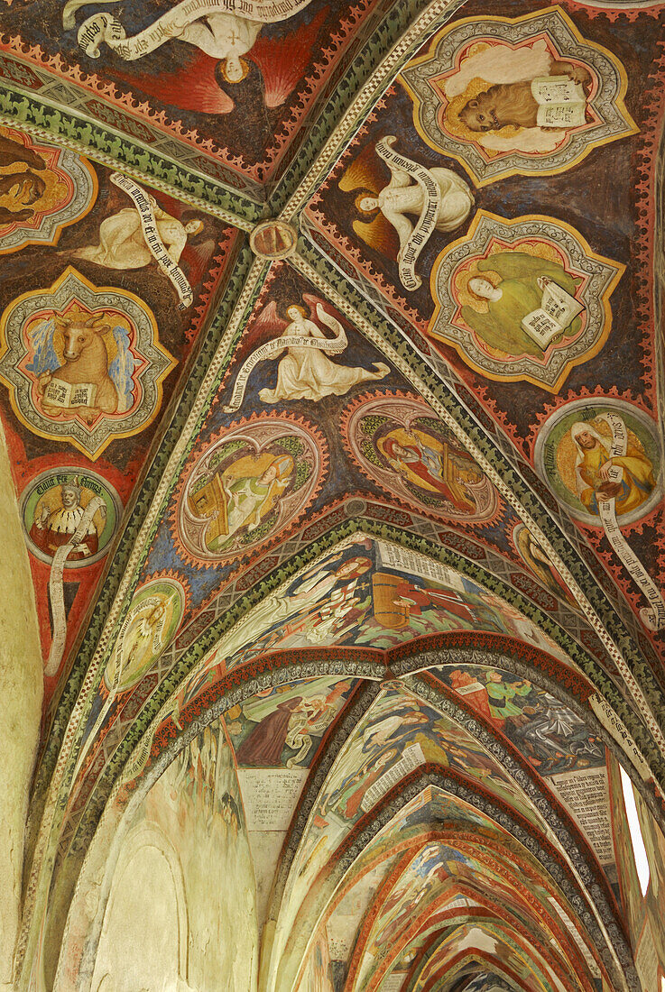 Ceiling vault of cloister, Brixen Cathedral, Brixen, Trentino-Alto Adige/Südtirol, Italy