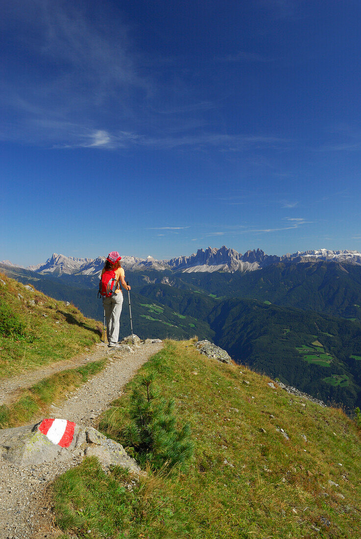 junge Frau auf Wanderweg mit Blick in die Dolomiten mit Peitlerkofel, Geislergruppe und Sella, Radlseehütte, Sarntaler Alpen, Südtirol, Italien
