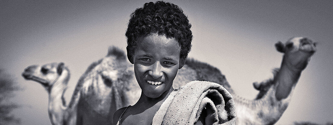 Afar boy and camels. Ethiopia. African tribes
