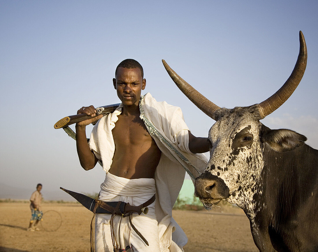 Afar man with cow and gun. Ethiopia. African tribes