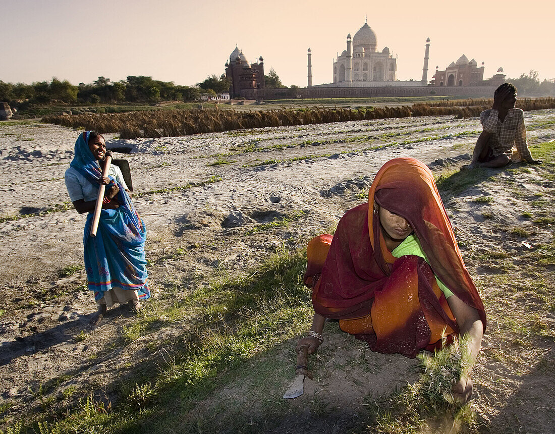 Women working with Taj Mahal in background, Agra. Uttar Pradesh, India