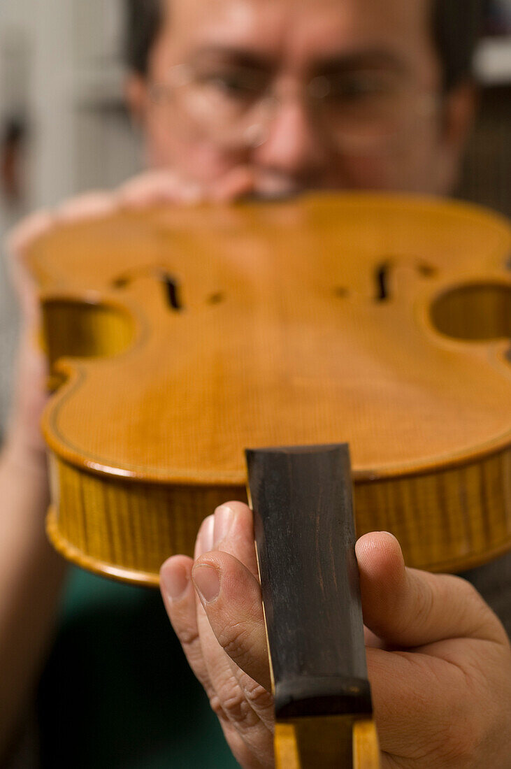Primo Pistono making a violin in his workshop, Violin Maker, Cremona, Lombardy, Italy