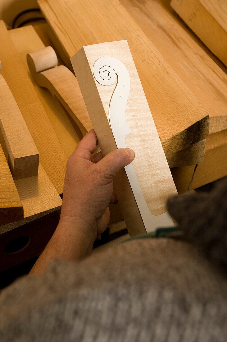 Primo Pistono making a violin in his workshop, Using templates, Violin Maker, Cremona, Lombardy, Italy