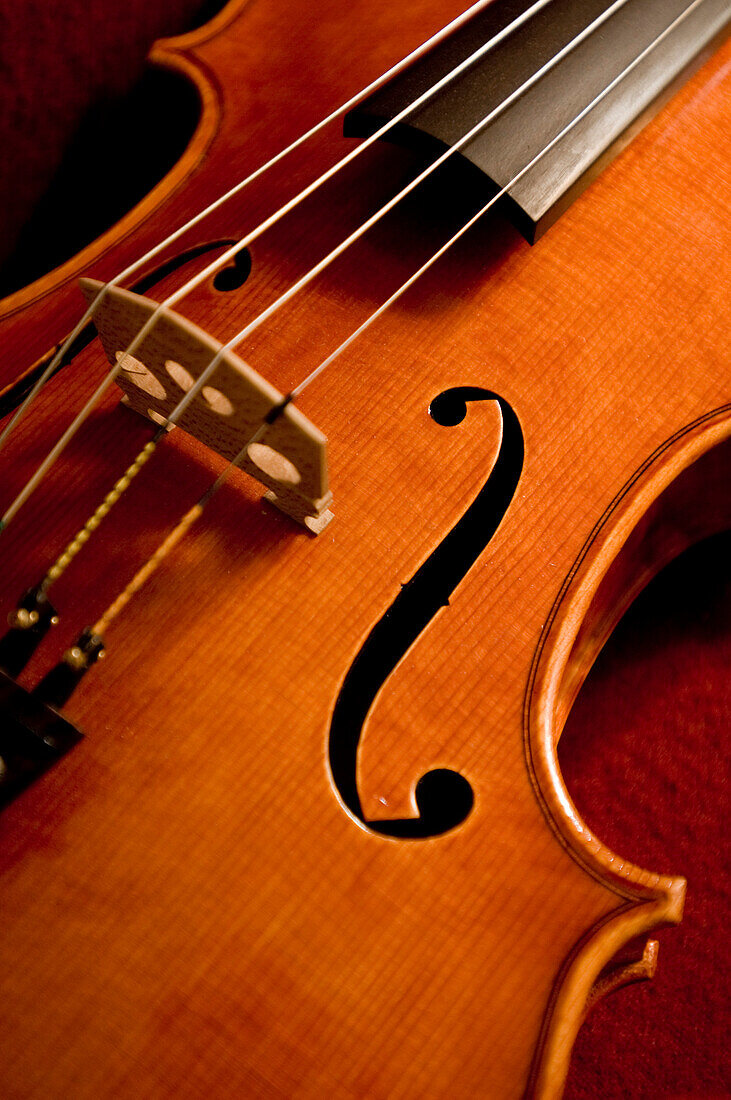 Detail einer Geige, Cremona, Lombardei, Italien