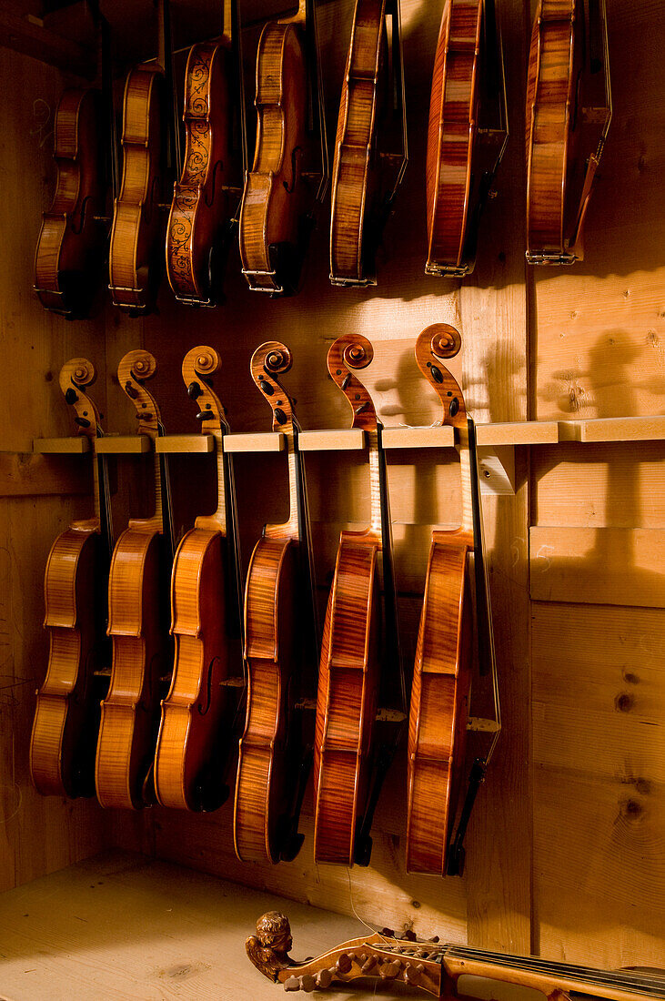 Nahaufnahme von Geigen, Werkstatt von Bruce Carlson, Geigenbauer, Cremona, Lombardei, Italien