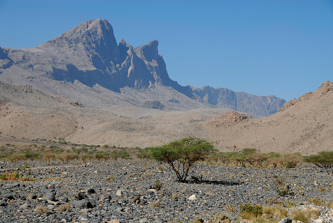 Barren scenery with mountains, Al Hajar mountains, Oman, Asia, Oman, Asia