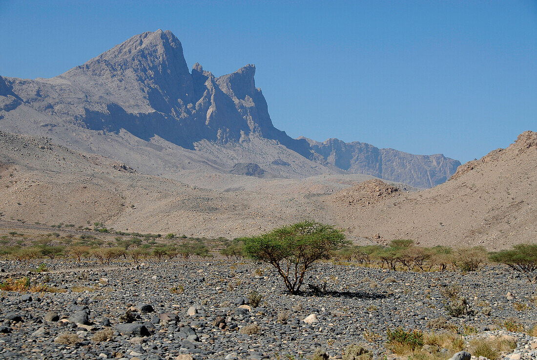 Karge Landschaft mit Bergen, Al Hajar Berge, Oman, Asien