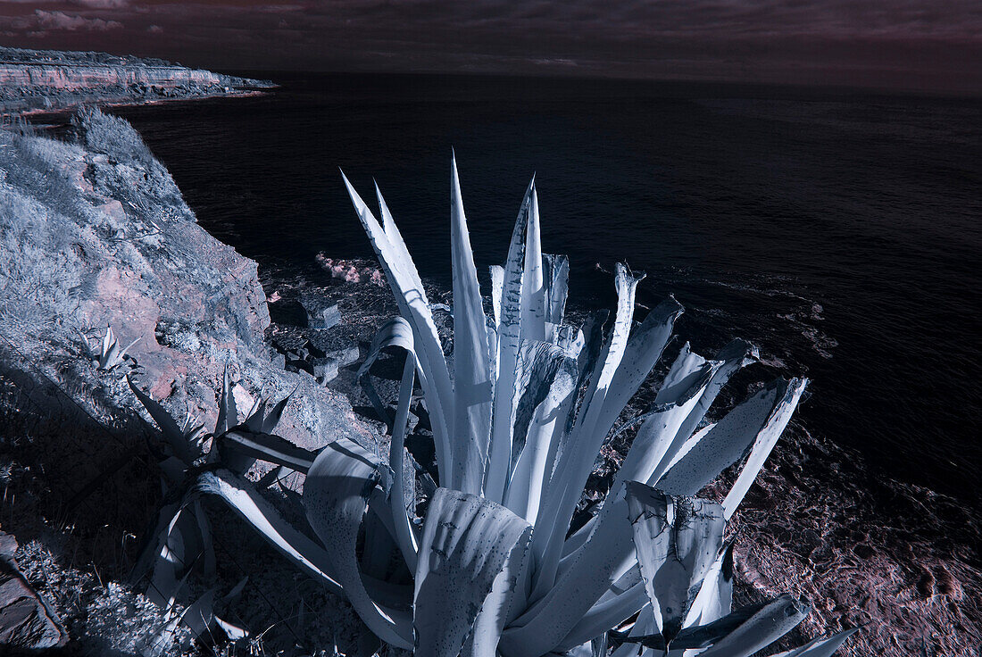 Steilküste in der Nähe von Boca do Inferno, Atlantik, Cascais, Portugal