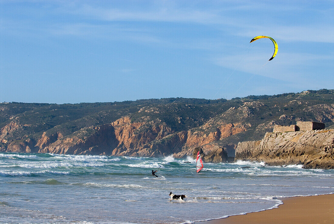 Kitesurfer and dog on Guincho Beach, Costa de Lisboa, Lisbon District, Estremadura, Portugal