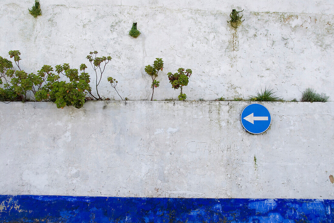 Mauer mit Pflanzen und Verkehrsschild, Obidos, Leiria, Estremadura, Portugal