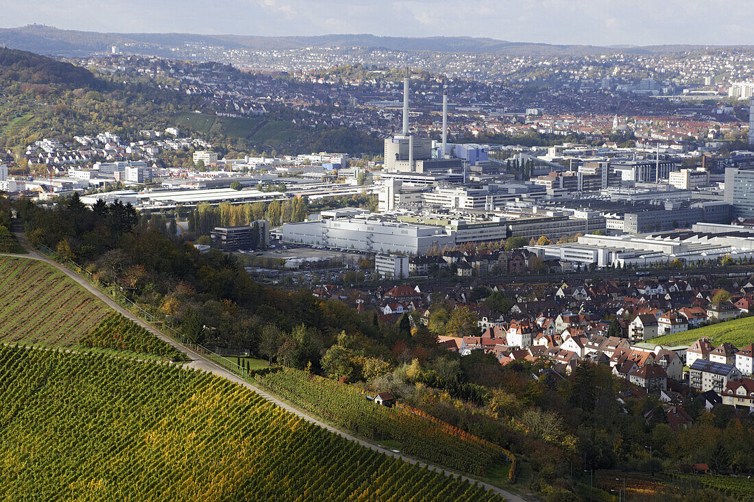 Blick über Weinberg zum Daimler-Stammwerk, Untertürkheim, Stuttgart, Baden-Württemberg, Deutschland