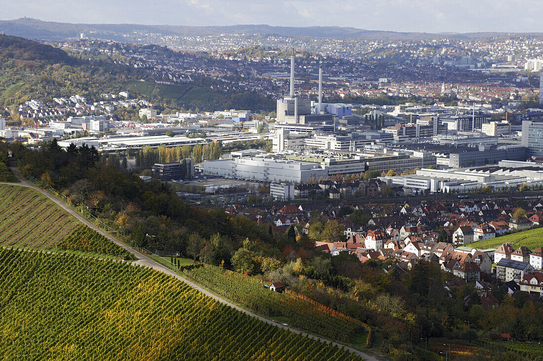 View over vineyards to Daimler AG parent plant, Unterturkheim, Stuttgart, Baden-Wurttemberg, Germany