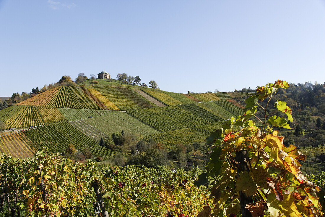 Weinberg mit Grabkapelle, Rotenberg, Untertürkheim, Stuttgart, Baden-Württemberg, Deutschland