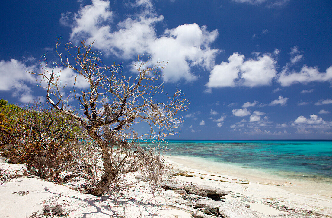 Strand und Lagune von Bikini, Marschallinseln, Bikini Atoll, Mikronesien, Pazifik