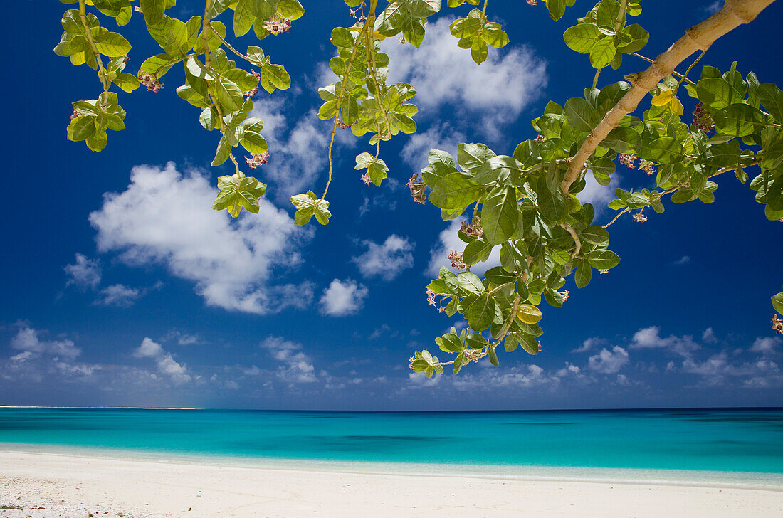 Lagune und Strand von Bikini, Marschallinseln, Bikini Atoll, Mikronesien, Pazifik
