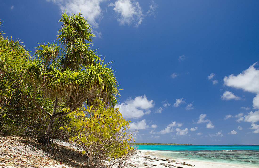 Strand und Lagune von Bikini, Marschallinseln, Bikini Atoll, Mikronesien, Pazifik