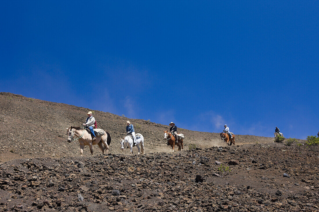 Horse Riding at Crater of Haleakala Volcano, Maui, Hawaii, USA