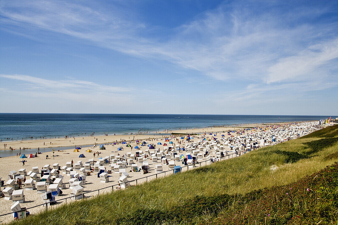 Beach chairs at beach, Westerland, Sylt island, Schleswig-Holstein, Germany