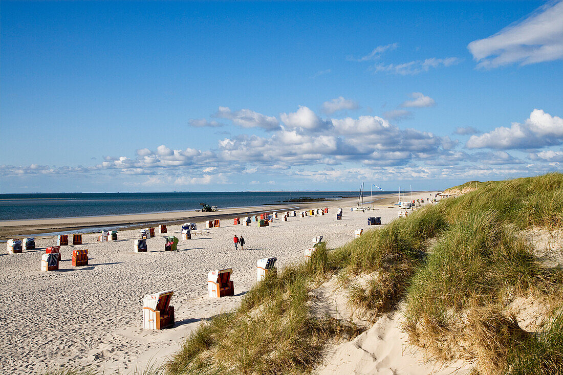 Beach Chairs on the Beach near Norddorf, Amrum, Island, North Frisian Islands, Schleswig-Holstein, Germany