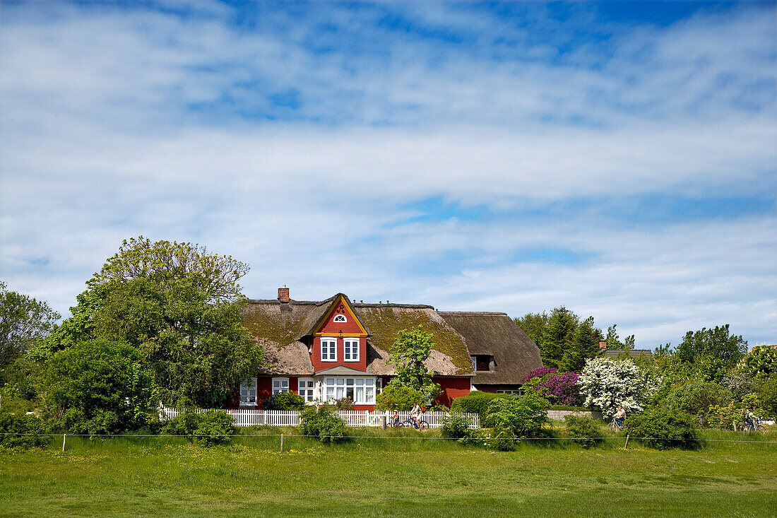 Friesenhaus in Steenodde, Amrum, Nordfriesland, Schleswig-Holstein, Deutschland