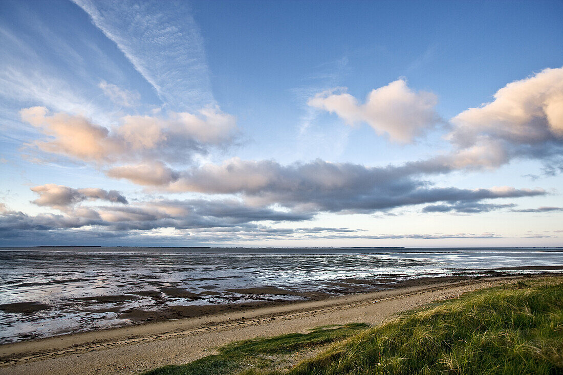 Mudflat, Amrum island, Schleswig-Holstein, Germany