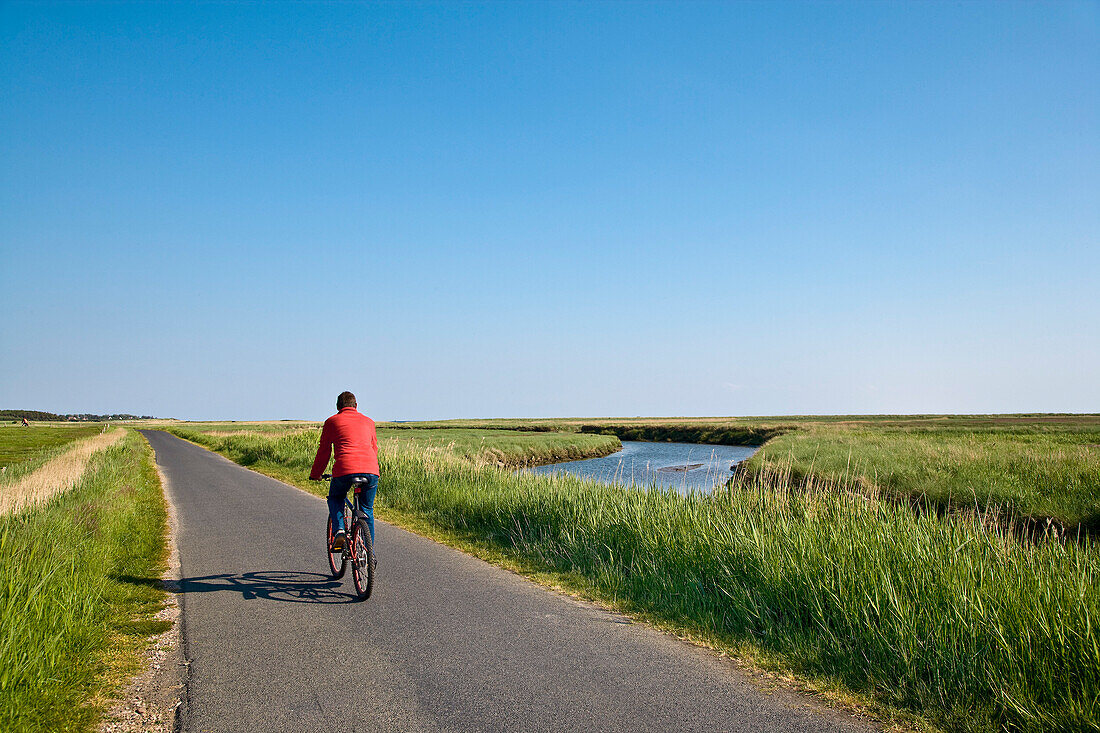 Cyclist near Witsum, Föhr Island, North Frisian Islands, Schleswig-Holstein, Germany