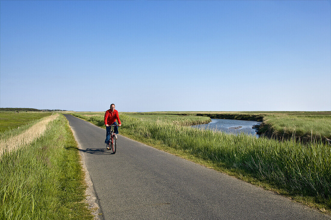 Radfahrer bei Witsum, Föhr, Schleswig-Holstein, Deutschland