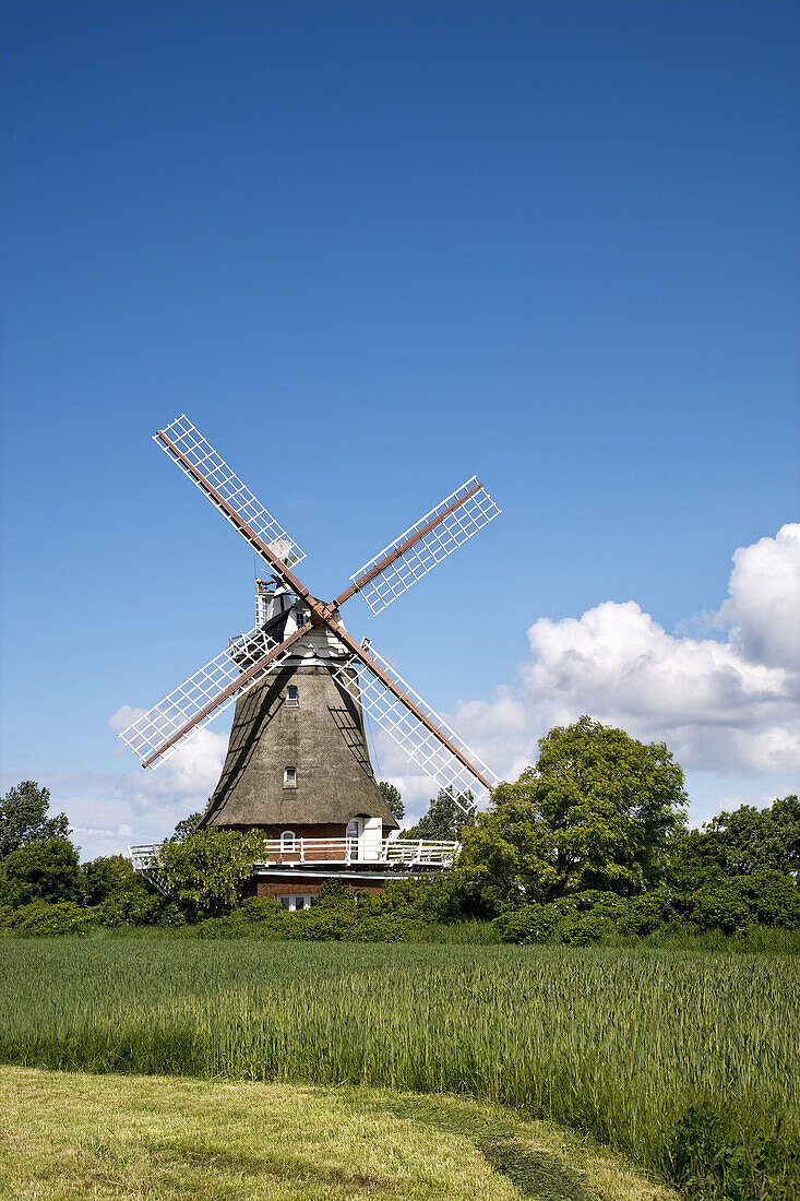 Windmill, Oldsum, Foehr island, Schleswig-Holstein, Germany