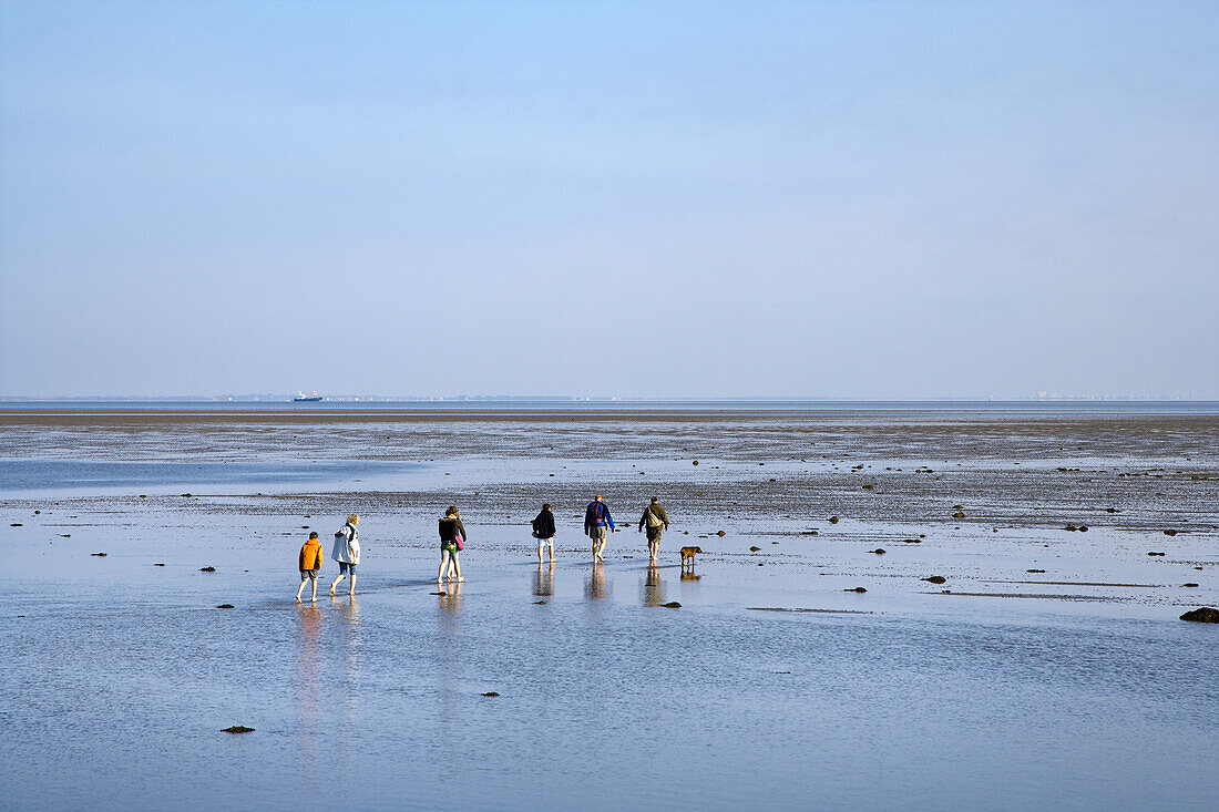 Mudflat hiking tour to Amrum island, Foehr, Schleswig-Holstein, Germany