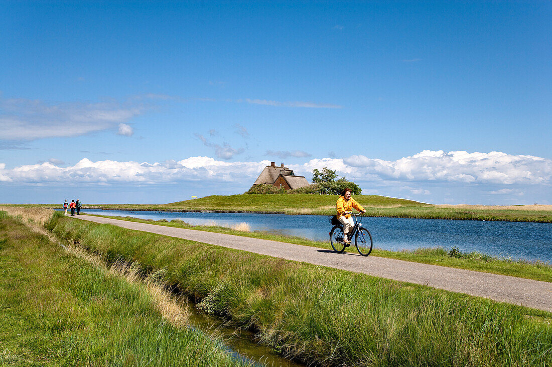 Cyclists, Holm Church, Hallig Hooge, North Frisian Islands, Schleswig-Holstein, Germany