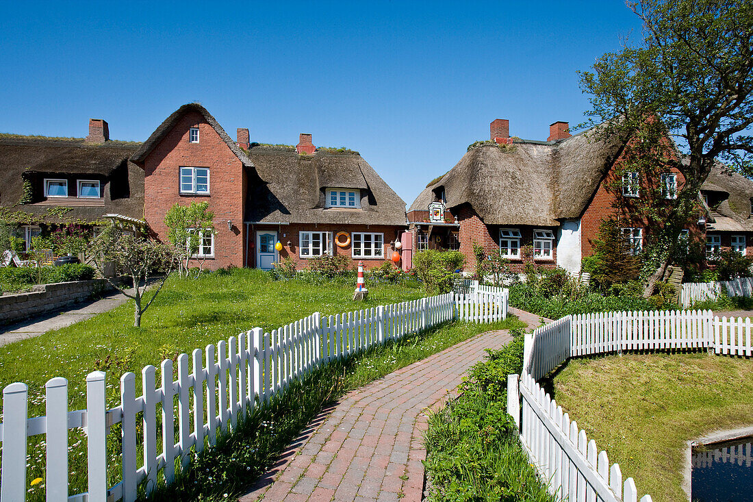 Village on Hallig Oland, North Frisian Islands, Schleswig-Holstein, Germany