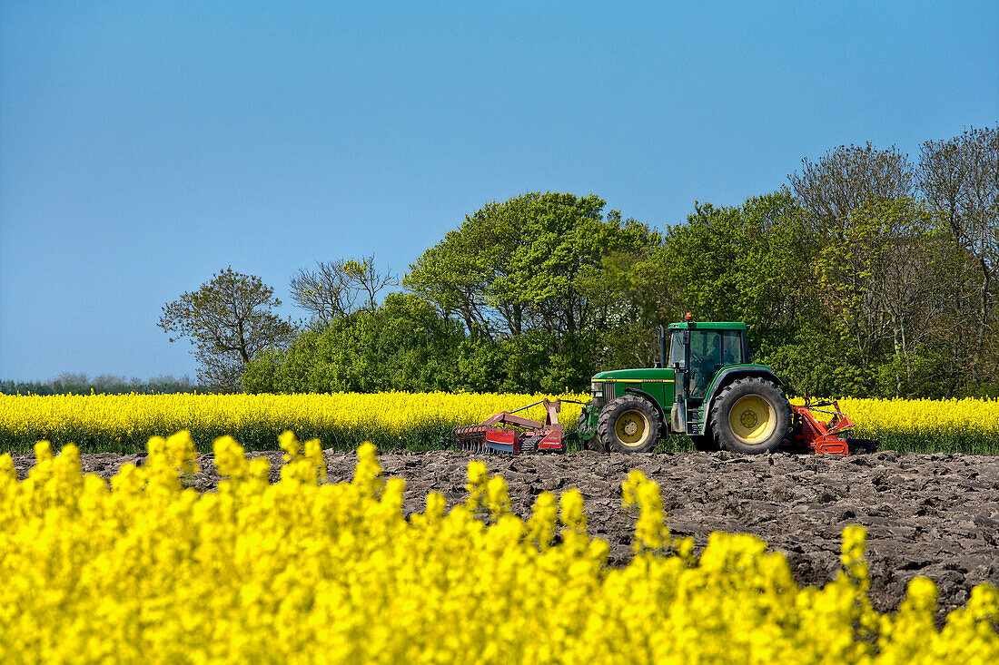 Bauer bestellt sein Feld, Pellworm, Nordfriesland, Schleswig-Holstein, Deutschland