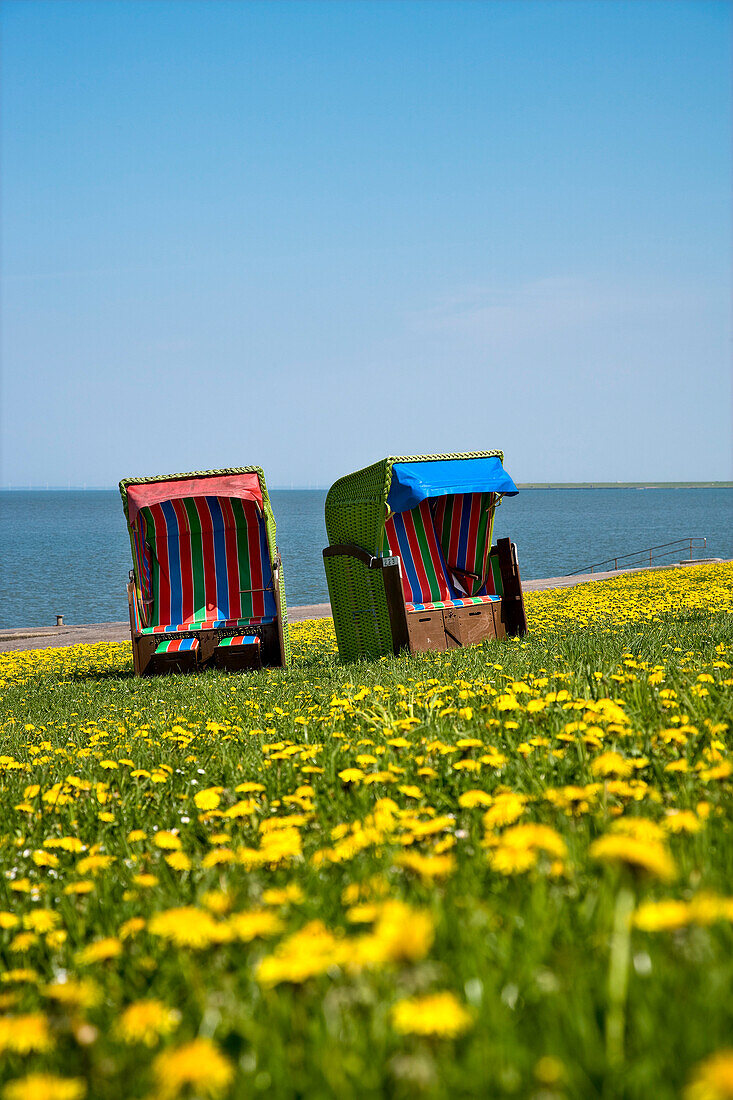 Beach Chairs and Flowers on a Dyke, Pellworm Island, North Frisian Islands, Schleswig-Holstein, Germany