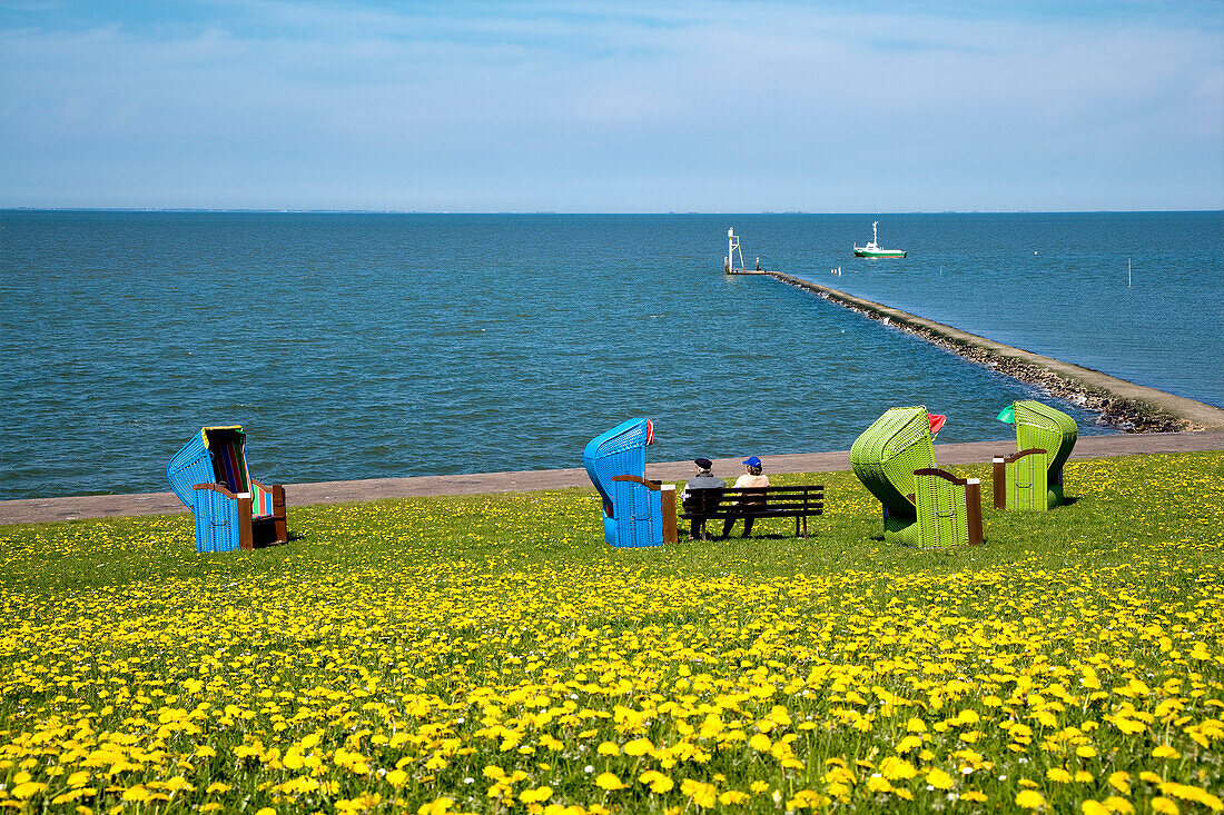 Beach Chairs and Flowers on a Dyke, Pellworm Island, North Frisian Islands, Schleswig-Holstein, Germany