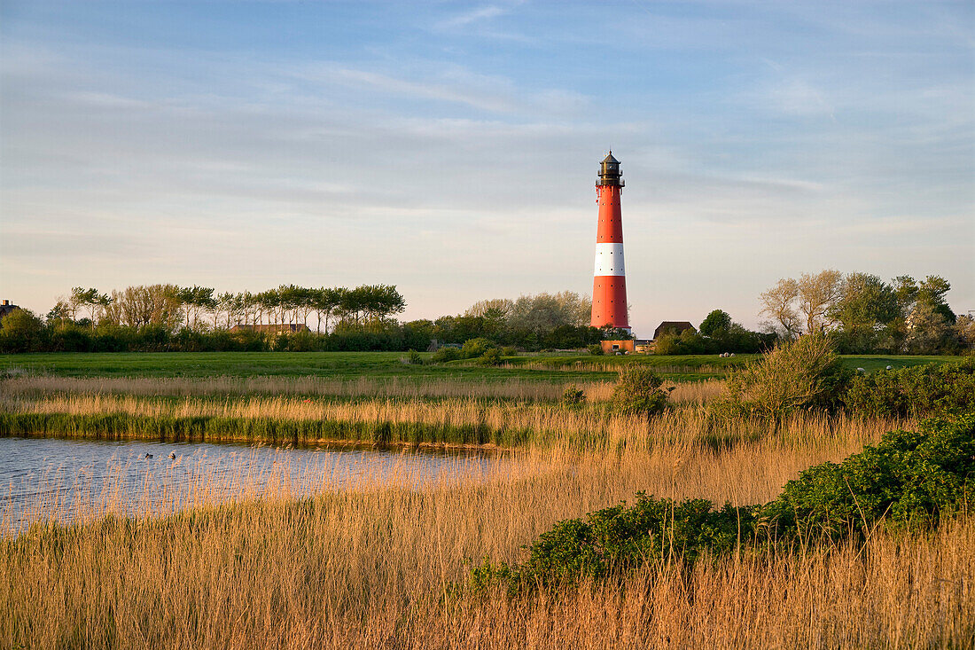 Leuchtturm, Pellworm, Nordfriesland, Schleswig-Holstein, Deutschland