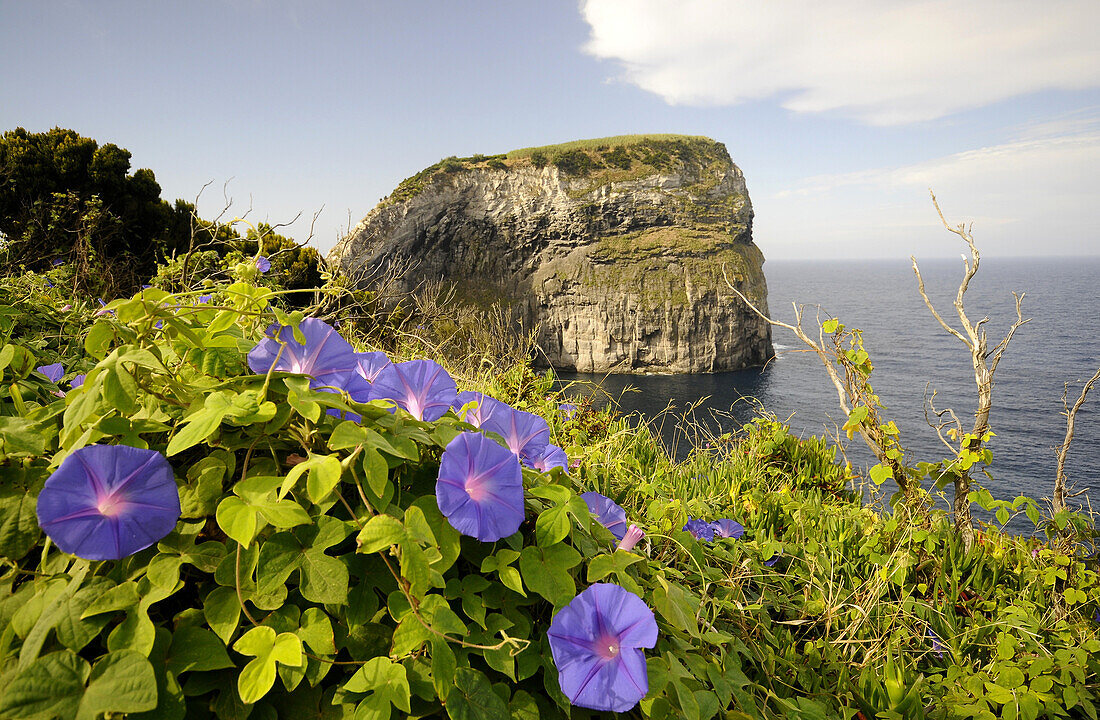 Castelo Branco, Faial Island, Azores, Portugal