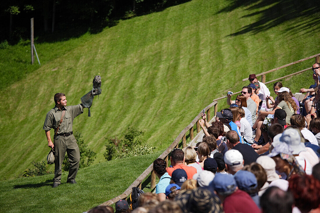 Spectators visiting falconry display, Pfander, Bregenz, Vorarlberg, Austria