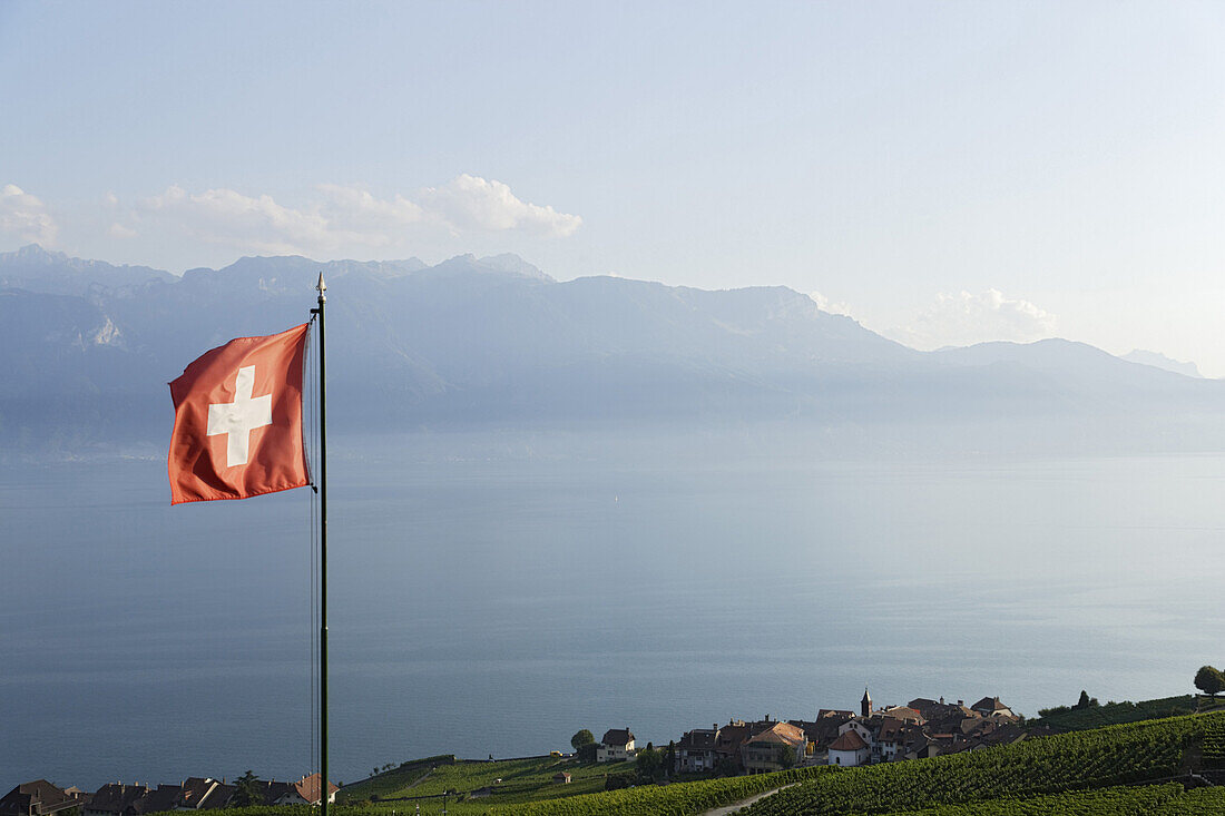 Schweizer Flagge und Weinberge, Rivaz, Lavaux, Kanton Waadt, Schweiz