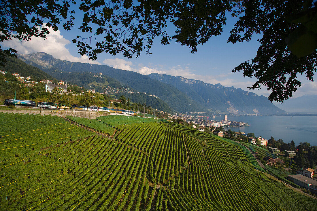 GoldenPass Panoramazug, Montreux, Kanton Waadt, Schweiz